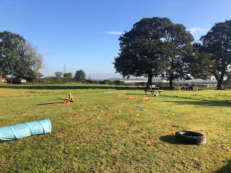 Parkfield Dog Park secure private dog field in Featherstone, WF7 6FB