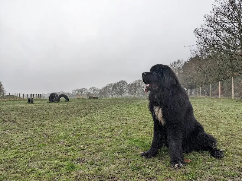 Horsforth Happy Hounds secure private dog field in Leeds, LS18 5RU