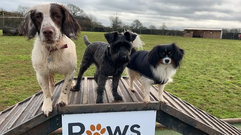 Paws4Play secure private dog field in Cullompton, EX15 1RN