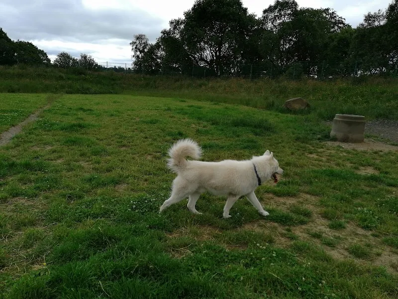 Out and Safe Dog Fields secure private dog field in Glasgow, G66 8AQ