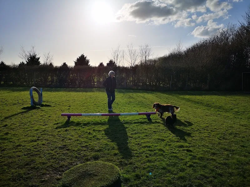 Four Paws Dog Park secure private dog field in Grittenham, SN15 4JR