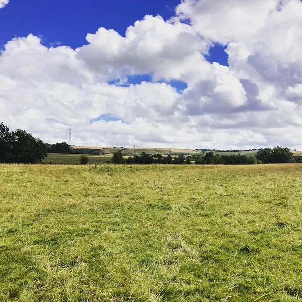 Paw Paddock - East Meon secure private dog field in Petersfield, GU32 1QF