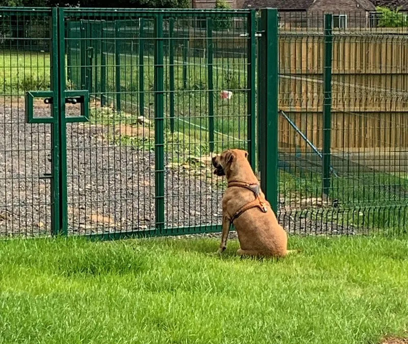 Mutleys Dog Park secure private dog field in South Milford, LS25 5AG