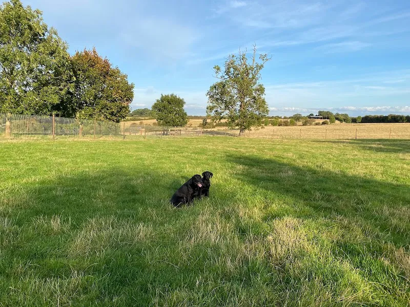 Rushton Meadows secure private dog field in Northants, NN14 1RR