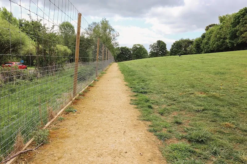 Paw Paddock - Bullington secure private dog field in Winchester, SO21 3RB