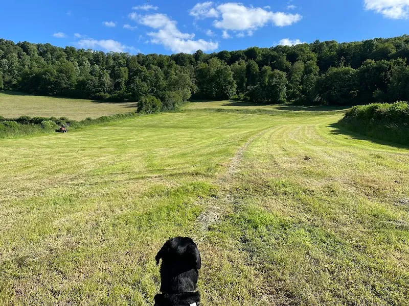 Dursley Dog Park secure private dog field in Dursley Dog Park, GL11 5AD
