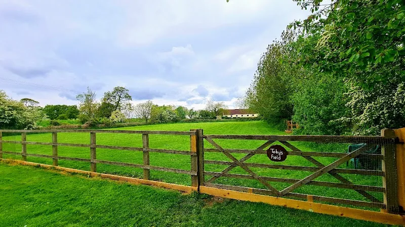 Toby's Field secure private dog field in Goole, DN14 9LR
