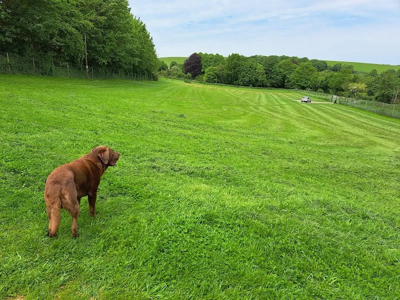 Coombes Field 4 Dogs secure private dog field in Lancing, BN15 0RS