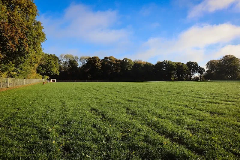 Paw Paddock - Moundsmere secure private dog field in Basingstoke, RG25 2LH