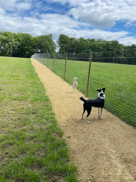 Paw Paddock - Moundsmere secure private dog field in Basingstoke and Deane, RG25 2LH