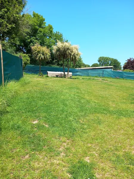 Wingz and Thingz secure private dog field in Par, PL24 2TX