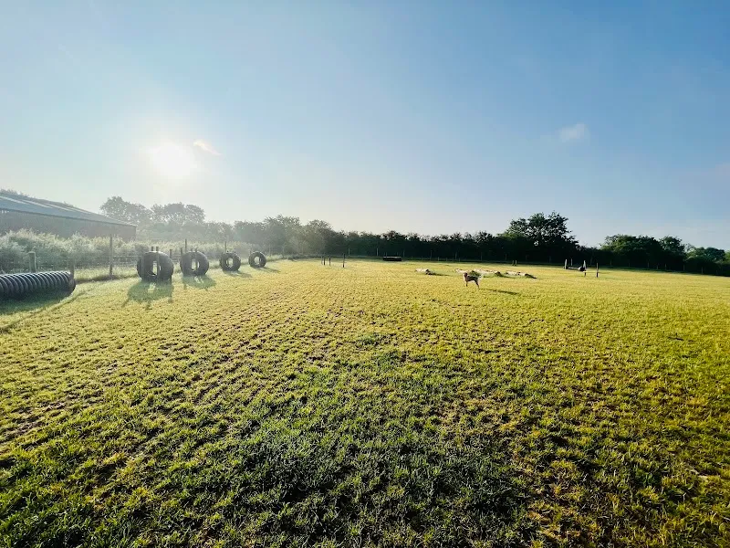 Enslow Dog Field secure private dog field in A4095, OX5 3AY