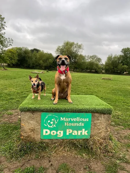 Marvellous Hounds Dog Park secure private dog field in Offenham, WR118SA