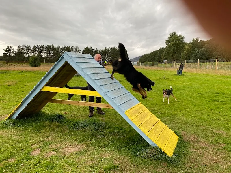 Aviemore Dog Park secure private dog field in Aviemore, PH22 1PZ