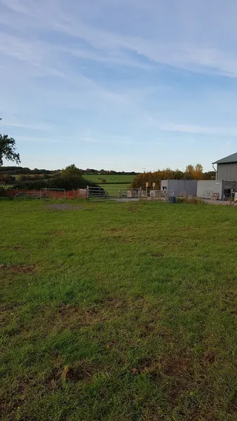 T&T Pet Field & Cafe secure private dog field in Overton, RG25 3DR