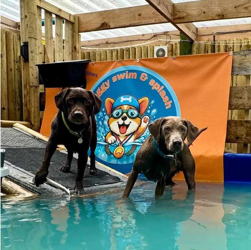 Southlodgemeadows dog parks & Doggy swim & splash secure private dog field in Lutterworth, LE17 6EQ