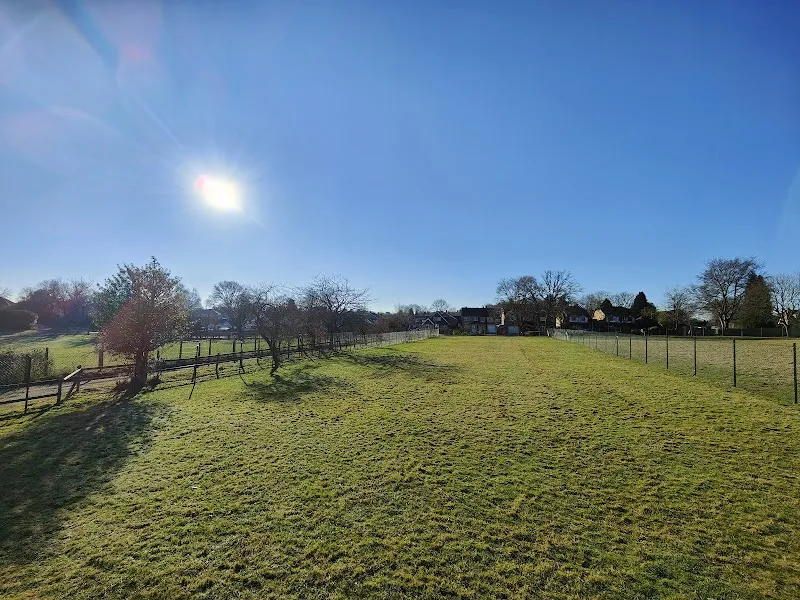 Ray's Place secure private dog field in KT15 3TJ