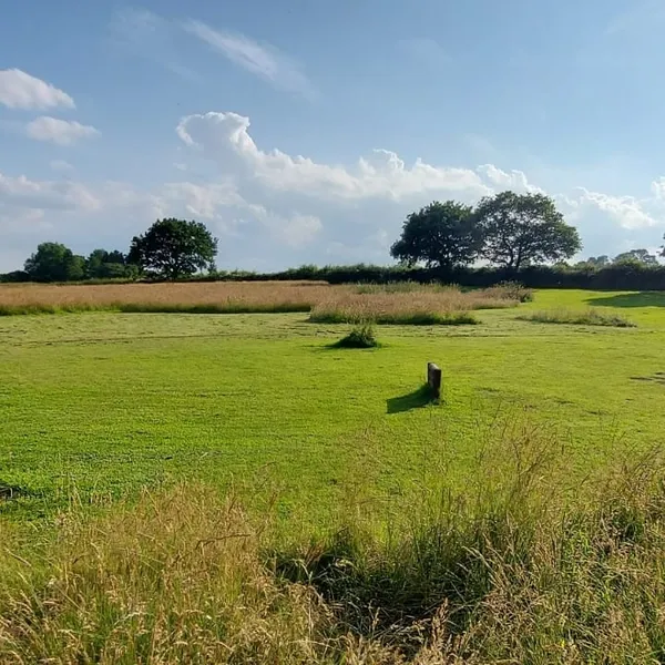 Ash Brook Dog Walking Field secure private dog field in Rugeley, WS15 3AT
