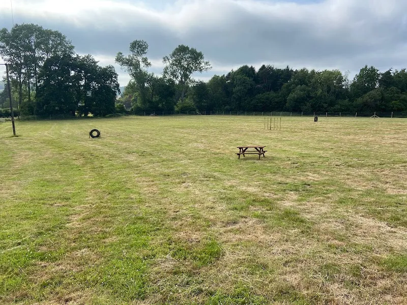 The Dog Walking Field - Crowborough secure private dog field in Burnt Oak Rd High Hurstwood Crowborough, TN22 4AE
