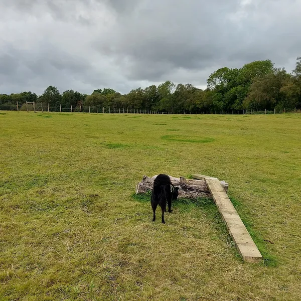 The Dog Walking Field - Felbridge secure private dog field in East Grinstead, RH19 2RE