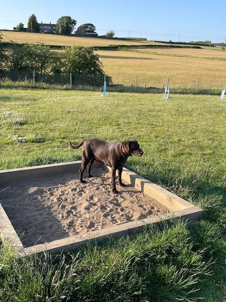Happy Meadows Dog Parks secure private dog field in Wakefield, WF4 4BU