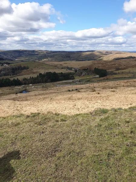 Helping Hands Dog Park secure private dog field in Diggle, OL3 5LT