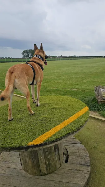 Hedon Secure Dog Walking Field secure private dog field in Hull, HU12 8BB