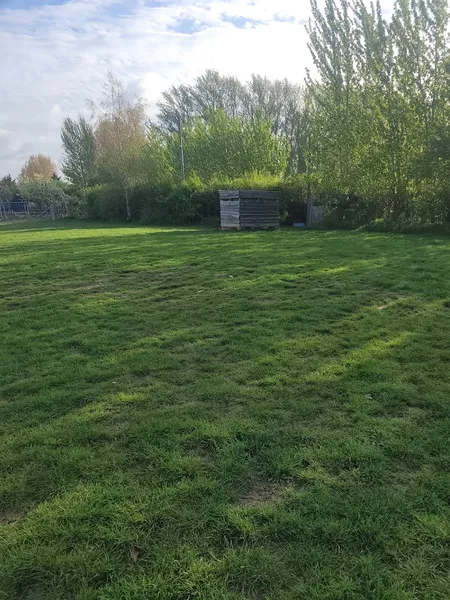 Windy Tails Dog Paddock secure private dog field in Swale, ME9 7FB