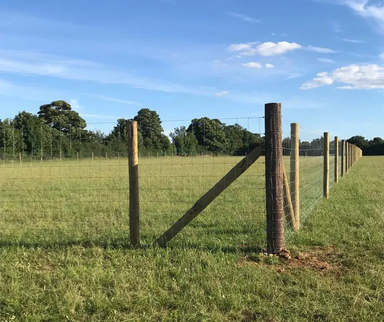 Hinton-in-the-Hedges secure private dog field in Brackley, NN13 5NF