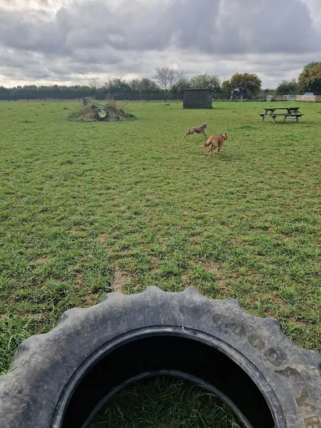 Off the Lead, Landbeach secure private dog field in Cambridge, CB25 9FQ