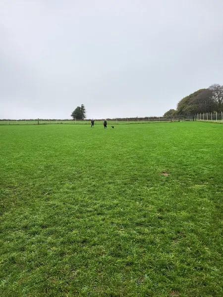 Haytor Mutt Mayhem secure private dog field in Newton Abbot, TQ13 9RB