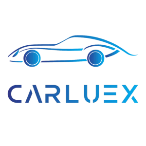 PANDA GOGO LIMITED Logo