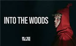 Into the Woods