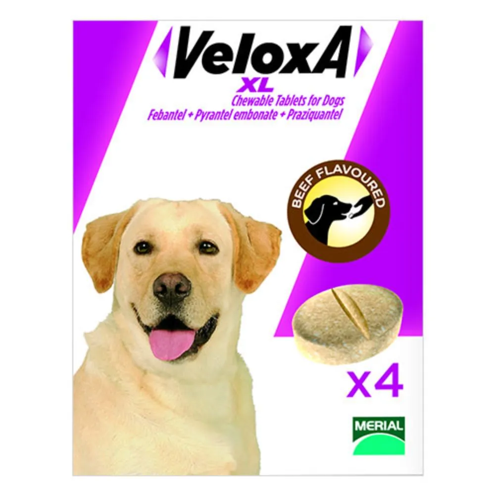 Veloxa Xl Chewable Tablets For Large Dogs Up To 35 Kg 8 Tablets