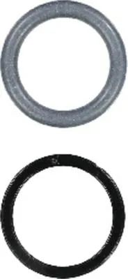 Victor Reinz Seal