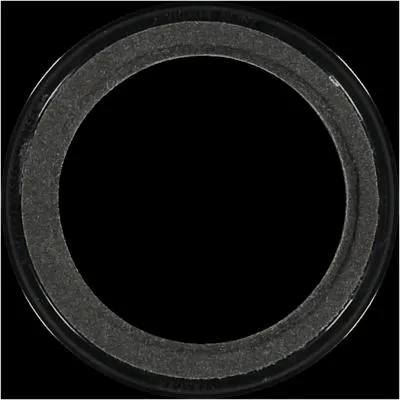 Victor Reinz Seal