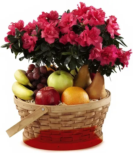 Garden Of Eden Fruit And Plant Basket