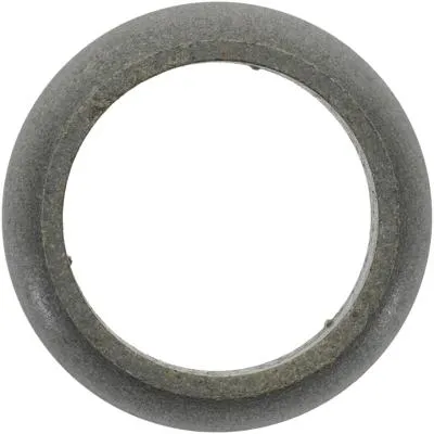 Victor Reinz Gasket