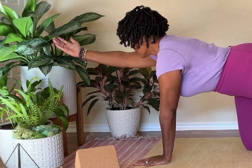 Beginner and Intermediate level classes in yoga and meditation