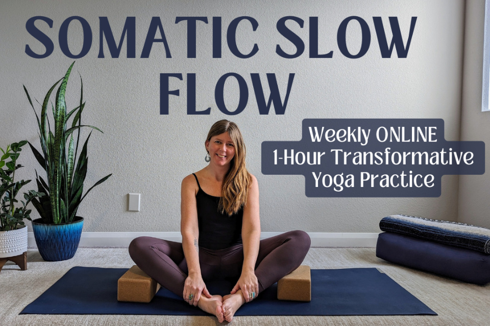 NEW (Donation Based) Somatic Slow Flow - Weekly ONLINE 1-Hour Transformative Yoga Practice 