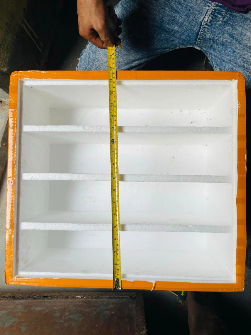 Fish for breeding box 1