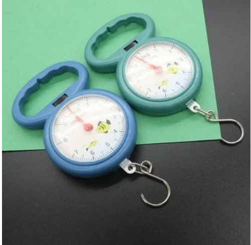 Mini Pointers Hook Spring Hanging Scale Portable Fishing Scale 10kg Capacity Food Digital Scale Luggage Scale Weighing Scales(Made in China) 1