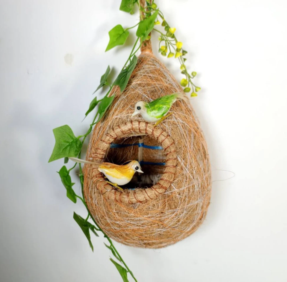 2 Pice Bird Nest-Babui Pakhir Basa 1
