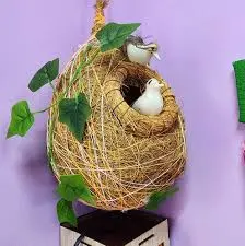 2 Pice Bird Nest-Babui Pakhir Basa 4