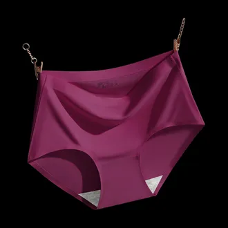 Ice Silk Panties Ladies Underwear Panty 6