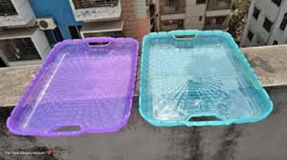14 inc Multicolor Served tray 1 pis 2