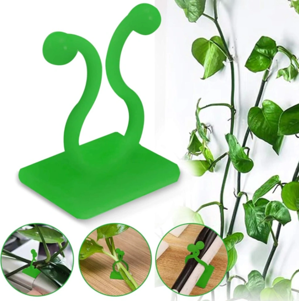 10 Pcs Plant Climbing Wall Clips, Self-Adhesive Vine Plant Climbing Fixing Clip Hook 2