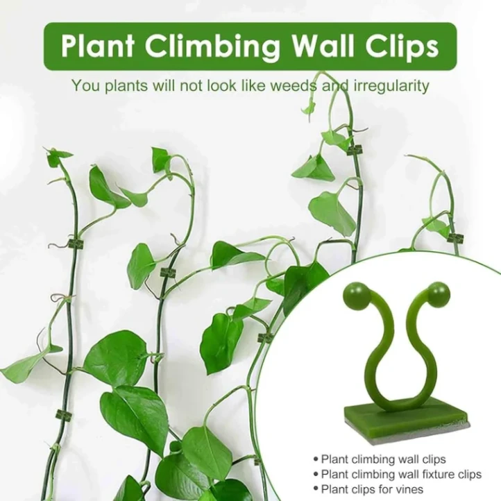 10 pcs Plant Climbing Wall Fixture Clips 4