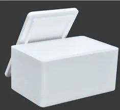 Corksheet box for fish 2
