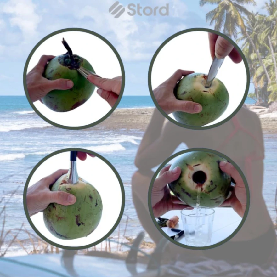 Coconut Hole Opener&#x2F;Coconut Opener&#x2F;Coconut Cutter&#x2F;Dab Opener 4